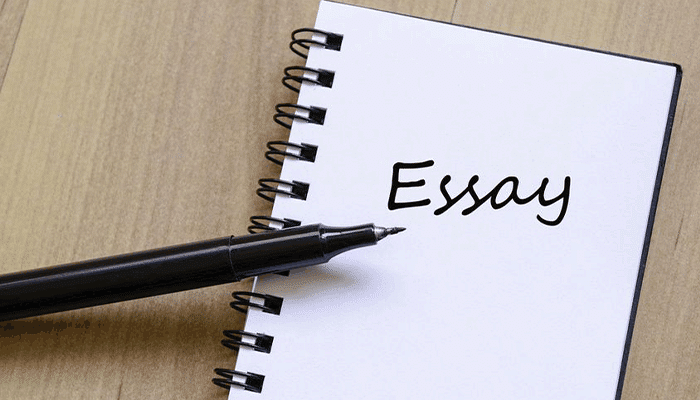 How to Write the Best Essay