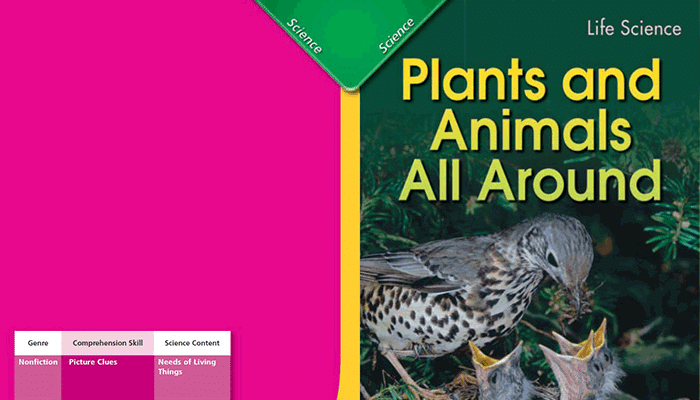 Plants and Animals All Around