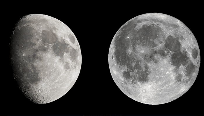 A Study of the Moon's Internal Structure